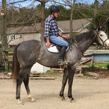 Retraining Retired Race Horses