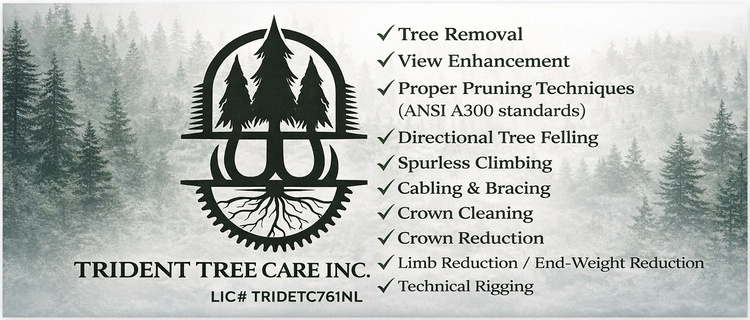 Trident Tree Care Inc