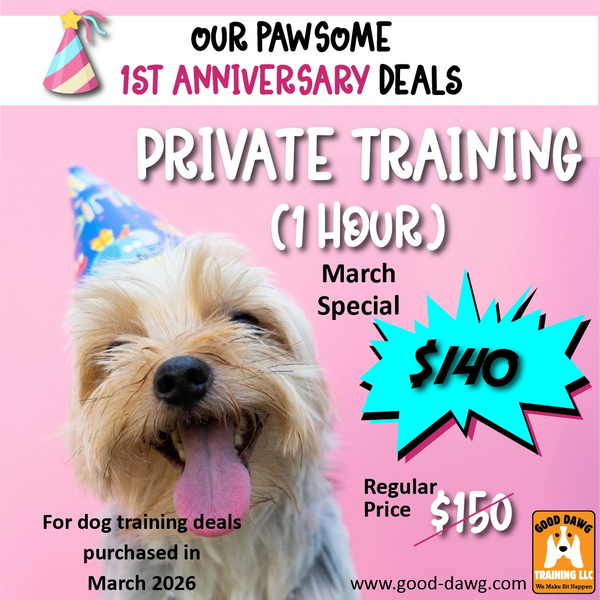 1 hour private training