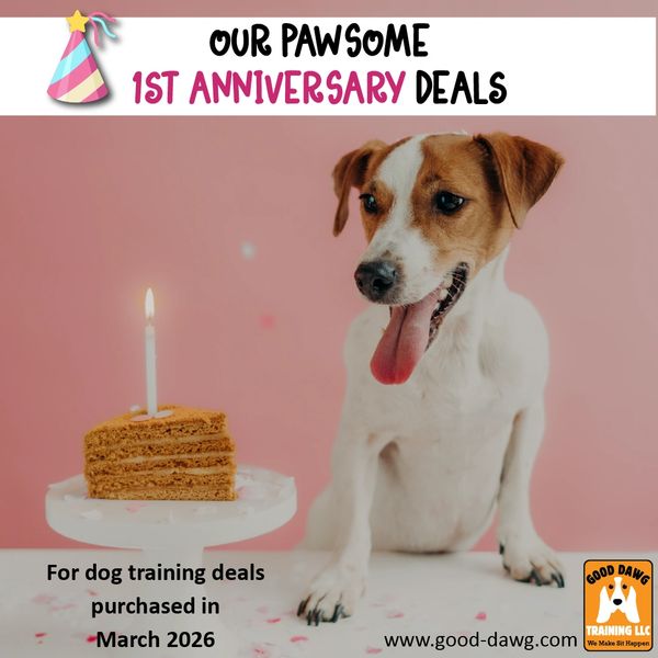  Our 1st Anniversary Dog Training Deals