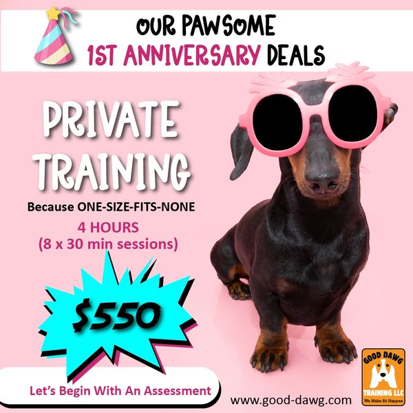 Private dog training