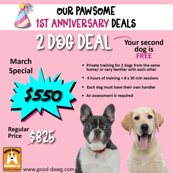 2 dogs trained for the price of one