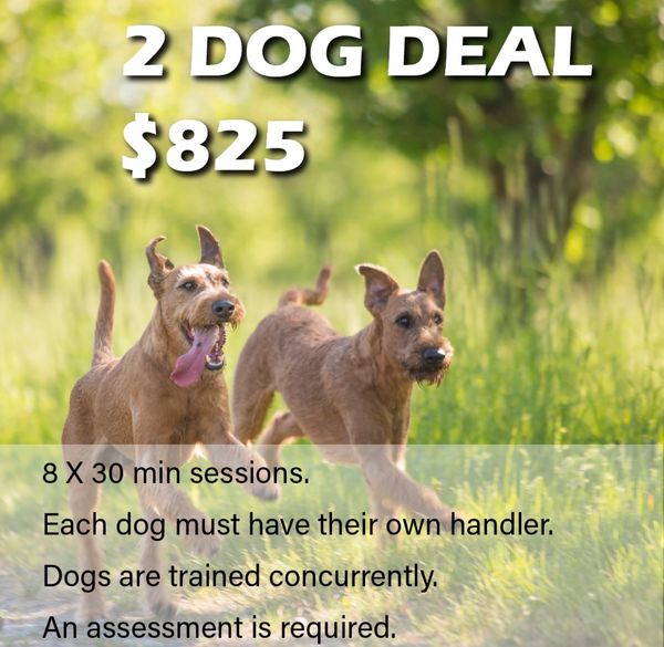 Train 2 dogs from the same home concurrently.
50% off training for your 2nd dog.
4 hours of training