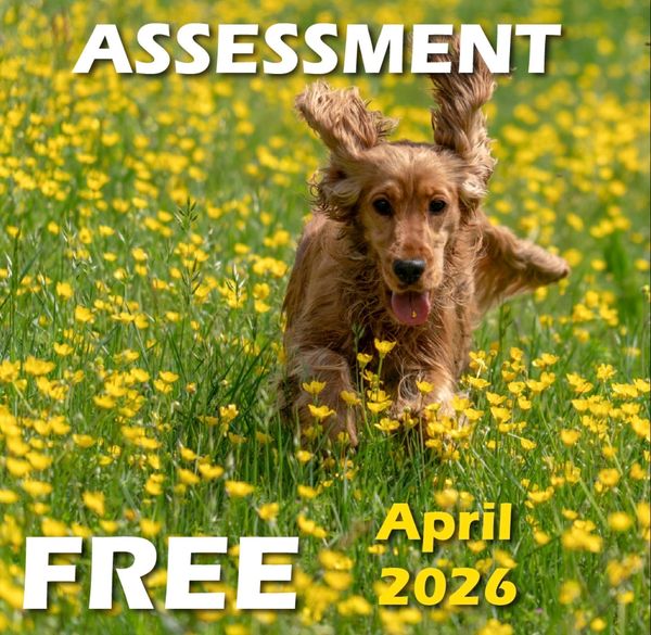 Free 30 min dog assessments during April