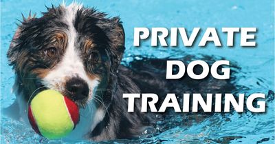 private dog training Santa Rosa, CA