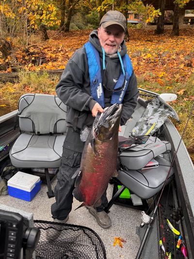 Ian Carter - red dog Chinook Lewis River