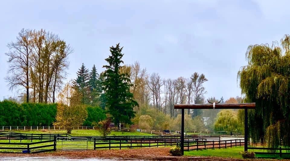Willow Lake Farm & Stables
