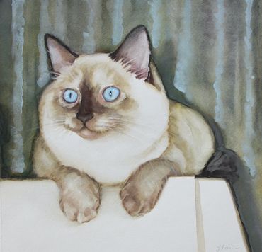 Siamese cat watercolor painting