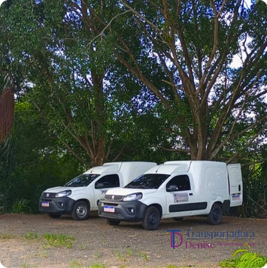 transportadora, coletas e entregas, frete, fiorino