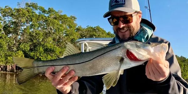 Snook fishing charter. Inshore fishing fishing charters for snook in palm harbor