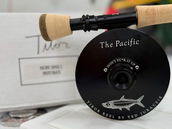 Clearwater Beach & Tarpon Springs guided fishing for big game and inshore Gulf species