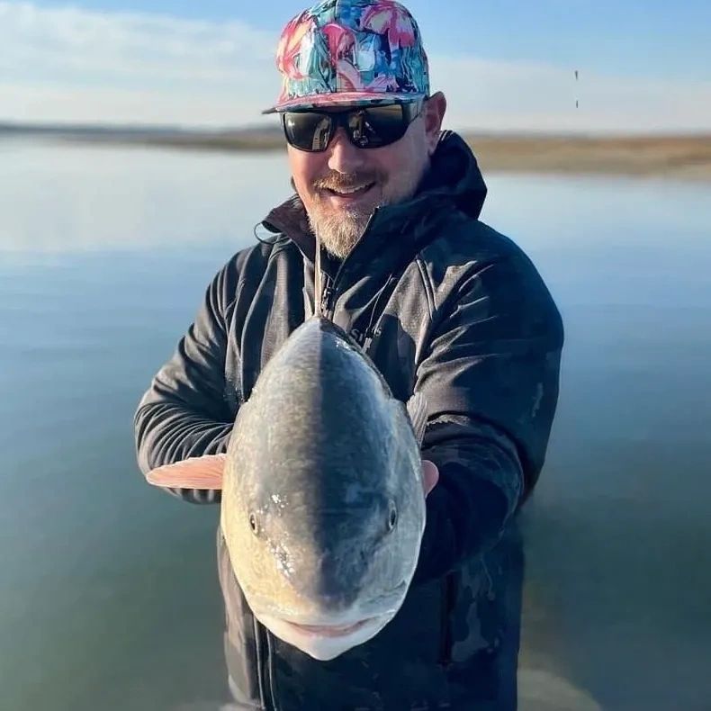 Tightlines Charter Clearwater FL family friendly fishing charters redfish snook tarpon safe for kids