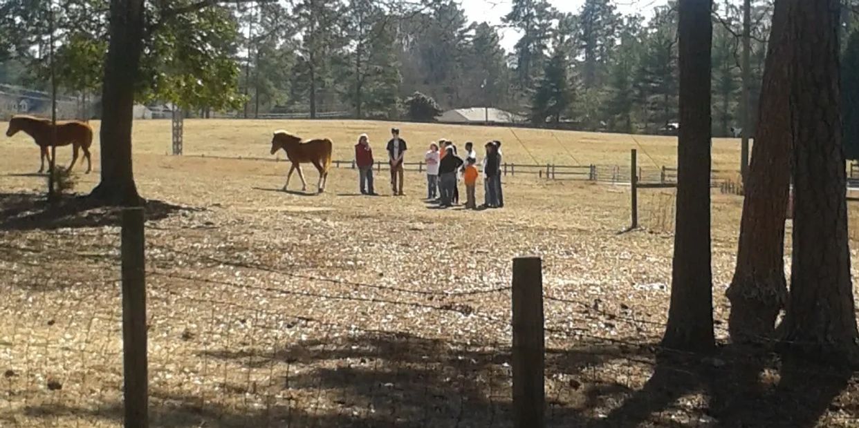 STABLE LIFE
REVOLUTIONIZING GROUP HOMES BEGINS AT ENDLESS RIBBON FOUNDATION INC 