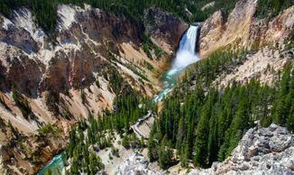 The Lower Falls in Yellowstone National Park