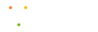 Mindful Wellness LLC