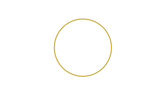 aroundsocials.com