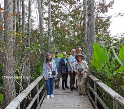 Group of six people on a wooden bridge in a forest.