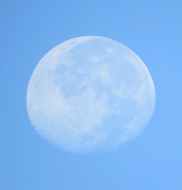 The moon