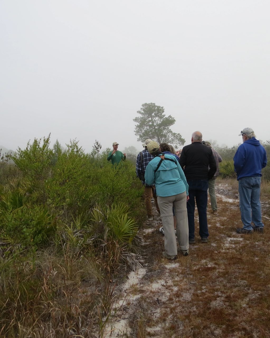 A walk and talk through the scrub