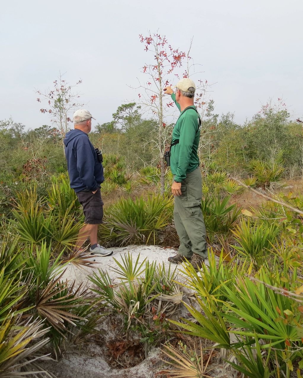 Rodney and Steve atop a Gopher Tortoise burow