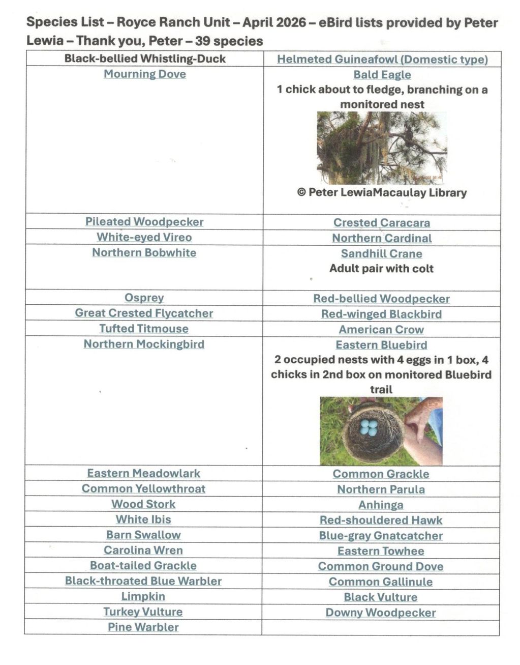 This species list was compiled from Peter's eBird checklists.