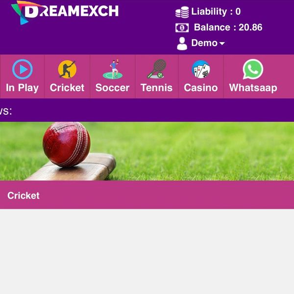 DreamExch platform showing sports betting options and balance.