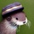 otter wif hat home :3
🦦🦦🦦🦦🦦🦦🦦🦦🦦🦦