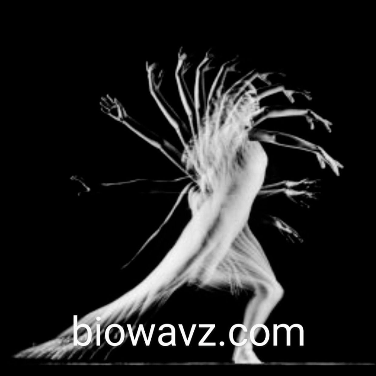 Somatic Movment Logo biowavz.com