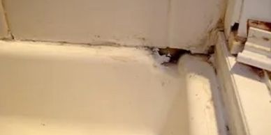mold in bathroom, Leaking drywall, Plumbing repairs  