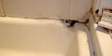 mold in bathroom 