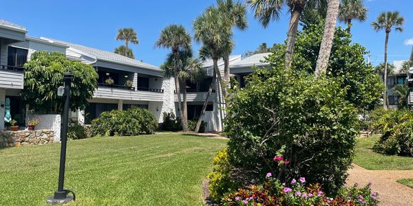 Sunlit courtyard with palm trees and flowering bushes at a residential complex.