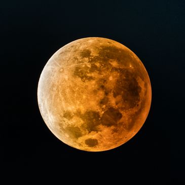 Close-up of an orange-colored full moon against a dark night sky.