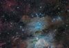 Orion Nebula Wide Field. Shot with William Optic GT71 and ZWO ASI 071 Cool