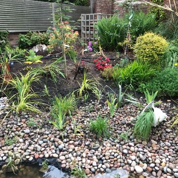 A newly created pond for wildlife with pebble beach, perennials and trees.