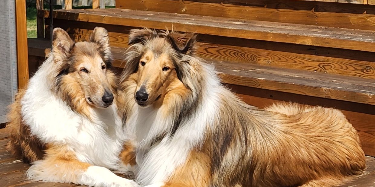 GUS Custom Creations