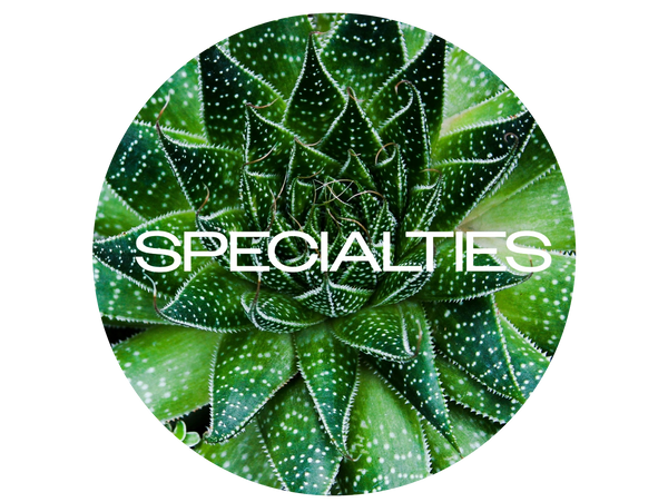 Succulent with the word Specialties