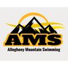 Allegheny Mountain Swimming