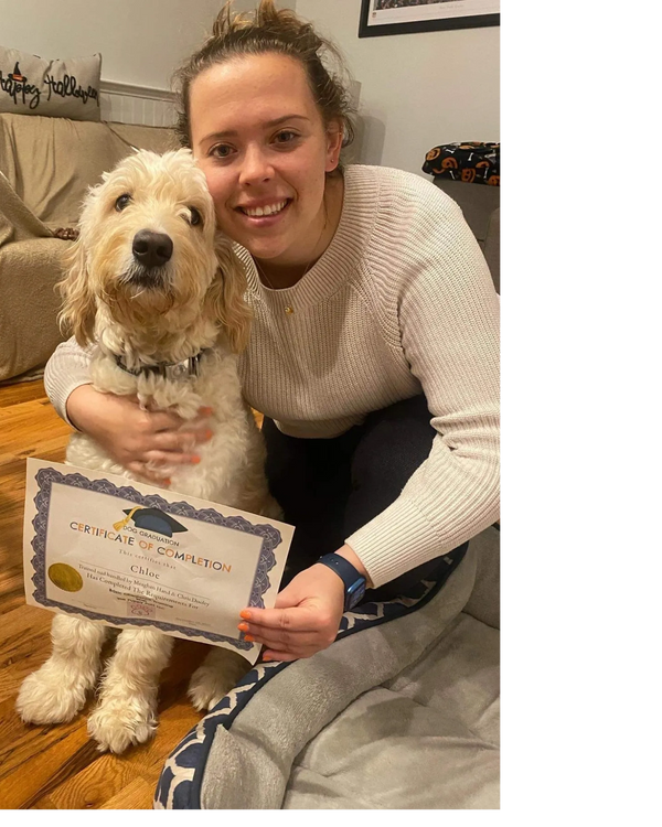 Dog Litter Training The Puppy Palz