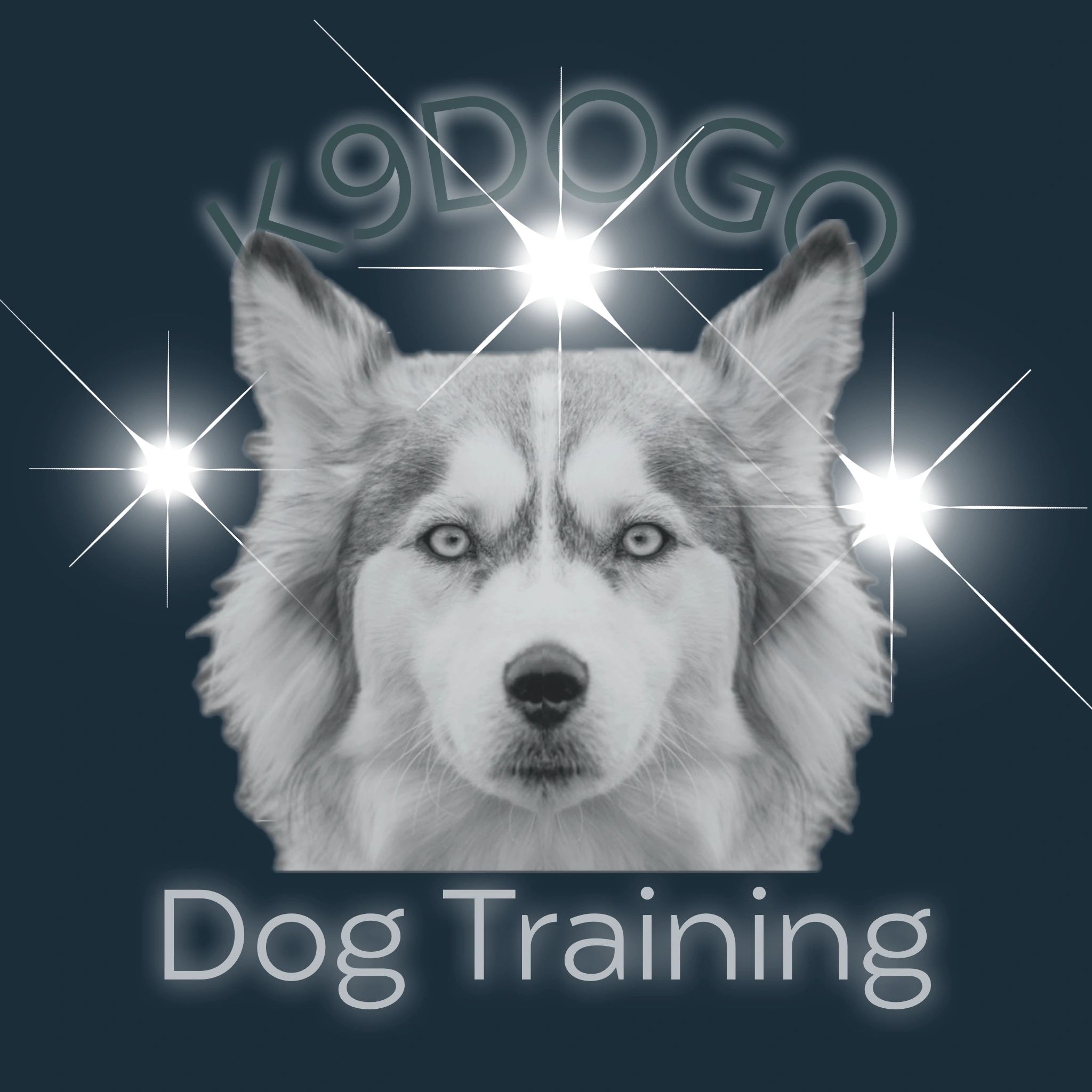 Dog training Jupiter, Fl