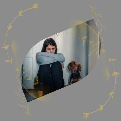 dog training jupiter
dog trainer jupiter 