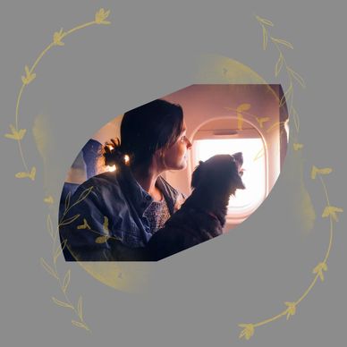 dog training jupiter
dog trainer jupiter 