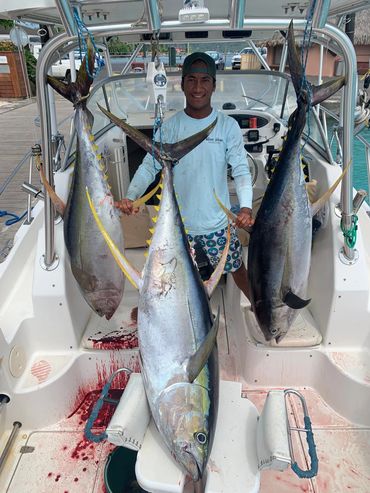 Our crew with a 3 nice yellowfin tuna caught close to the reef in bora bora. 