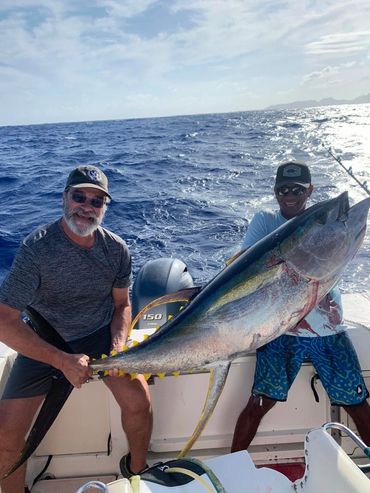 great yellowfin tuna fishing in Moorea and Bora Bora. 