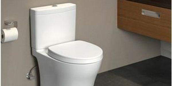 Dual Flush Toilet