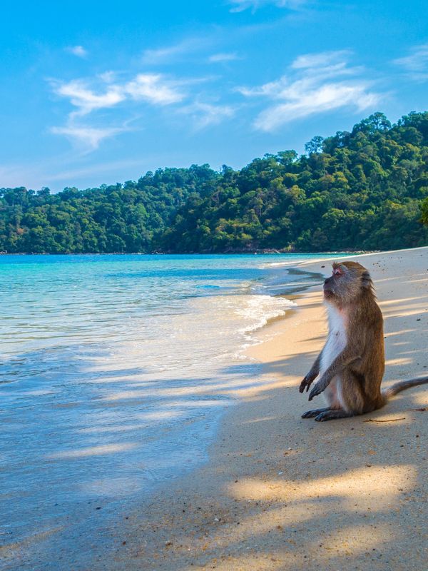 Beautiful beach in Thailand