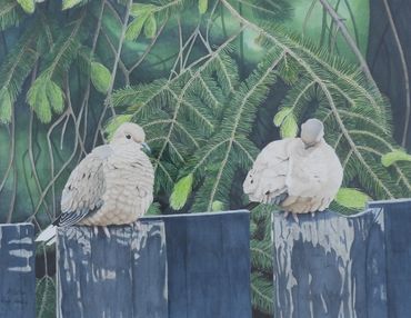 Doves, Watercolour, 14" x  17.5", $4,500 CAD