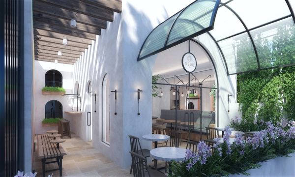  #Interior #design
#Egypt  #Middle East  #UK  
#London #Cairo 
#wellbeing #Biophilic #FengShui