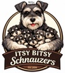 Itsy Bitsy Schnauzers