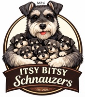 Itsy Bitsy Schnauzers