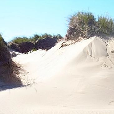 Plage Miscou Lamèque Shippagan Péninsule acadienne Nouveau-Brunswick New Brunswick